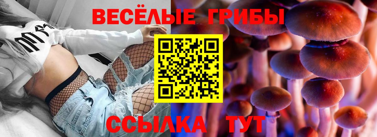 Галлюциногенные грибы мицелий Кушва